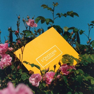 Логотип телеграм канала @loccitane_kg — L’Occitane Кыргызстан