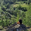 Логотип телеграм канала @locum_virtus — Заметки Препода.