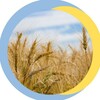 Логотип телеграм -каналу logistics_agro_zernovoz — Заявки Вермітор 🌾