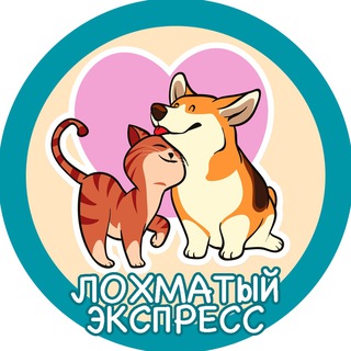 Логотип телеграм канала @lohmatijex — ЛОХМАТЫЙ ЭКСПРЕСС