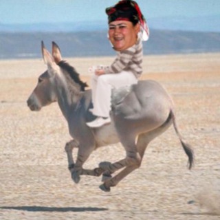 Логотип телеграм канала @loliklopk — шкаф