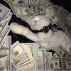 Логотип телеграм канала @lololonewss — Про деньги