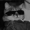 Логотип телеграм канала @lom_usta — Lom Usta