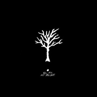 Логотип телеграм канала @lonely_tree_history — lonely tree💔