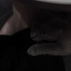 Логотип телеграм канала @lonelykris — Та самая Крис