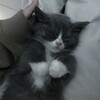 Логотип телеграм канала @lookforwhatyouwan — ♡ищи что хочешь♡