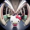 Логотип телеграм канала @lookingforpipa — пипа пишет🪷