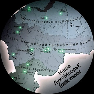 Логотип телеграм канала @lookmoor — Наше ЛукоМоорьЕ