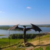 Логотип телеграм канала @lookthroughphoto_byvdmism — Взгляд через фото 📸