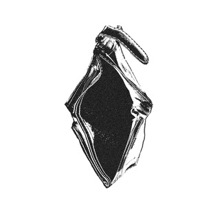 Логотип телеграм канала @lopatnikfinance — Лопатник с деньгами