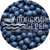 Логотип телеграм канала @lopskibereg — Этнопарк. Лопский берег. Отдых в Карелии. Туры, проживание, экскурсии.