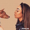 Логотип телеграм канала @lora_basenji — Лора Басенджи