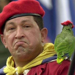 Логотип телеграм канала @lorochavez — Попугай Чавеса