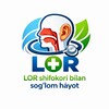 Telegram kanalining logotibi lorshifokorim — LOR SHIFOKORI