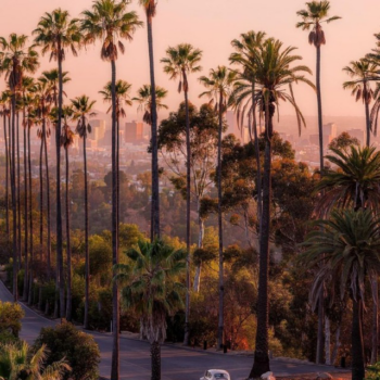 Logo del canale telegramma los_angeles_travel - Los Angeles