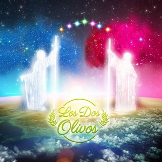 Logotipo del canal de telegramas losdosolivos - Los Dos Olivos