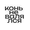Логотип телеграм канала @loshadkanarabote — конь не валялся