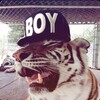 Логотип телеграм канала @lossu1k — звуки для липсингов🎰