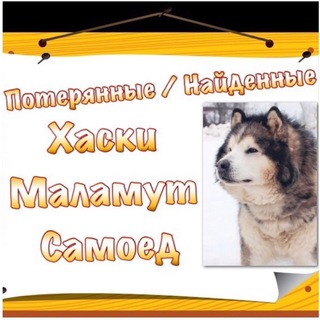 Логотип телеграм канала @lostfoundnorthdogs — Потерянные / Найденные Хаски по всей России