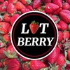 Логотип телеграм канала @lot_berry_krsk — LOT BERRY🍓 ЯГОДА КРАСНОЯРСК