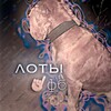 Логотип телеграм канала @lotiandfd — лоты и фб️