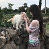Telegram channel 花 blossom logo