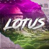 Логотип телеграм канала @lotus4x — LOTUS