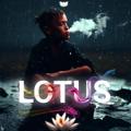 Logo saluran telegram lotus_daily — 𝐿𝑂𝑇𝑈𝑆