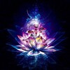 Logo of telegram channel lotus_svs — 𝐋𝐨𝐓𝐮𝐬🪷