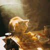 Логотип телеграм канала @lov8me — Энциклопедия Души и Жизни
