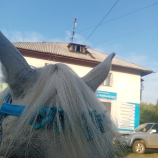 Логотип телеграм канала @love_horse — ₊‧°𐐪Ｓｏｌａｒ ｅｑｕｅｓｔｒｉａｎｓ𐑂°‧₊