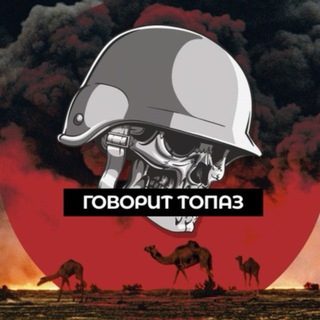 Telegram channel Говорит ТопаZ 🪖 logo