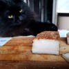 Логотип телеграм -каналу love_and_cheese — Коти та сало