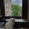 Лагатып тэлеграм-канала love_islaamm — ⃝⃝ ⃝📖 𝐿𝐼𝐹𝐸 𝑍𝐴𝑌𝑁𝐴𝑃 . 💡 ׂ ᨩ