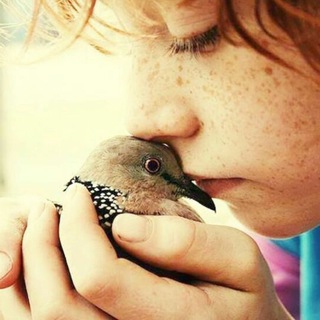 لوگوی کانال تلگرام loveanimals — Animal lovers
