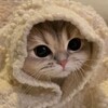 Логотип телеграм канала @lovee2910 — люблю
