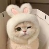 Логотип телеграм канала @loveeeeeiiiis — Я хочу