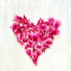 Логотип телеграм канала @loveevonomia — ЛЮБИМАЯ ЭКОНОМИЯ•покупки, обзоры, лайфстайл