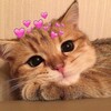 Логотип телеграм канала @loveirony — selling username