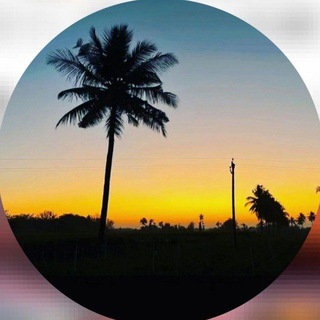 Logo of telegram channel lovely_nature_vibes — Lovely Nature Vibes🎶💕