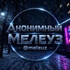 Логотип телеграм канала @lovemeleuzz — Анонимный Мелеуз