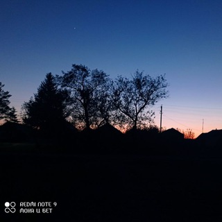 Логотип телеграм канала @lovemilov — Пока что думаем