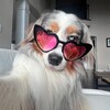 Логотип телеграм канала @lovemoles — 🎀~фото-батлы~🎀