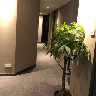 电报频道的标志 lovespa8a — ❤️戀spa❤️