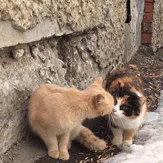 Логотип телеграм канала @lovetyuopssf — солнце | цитаты