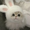 Логотип телеграм канала @loveyou1459229 — люблю