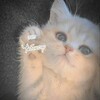 Логотип телеграм канала @lovve_21 — Топ Чебоксар ♡
