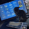 Логотип телеграм канала @lowakecs2 — ловаке в кс2