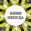 Логотип телеграм канала @lowestlevel — Ниже некуда