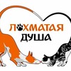 Логотип телеграм канала @loxmataiady — ЛОХМАТАЯ ДУША – ПОМОЩЬ ДРУГУ